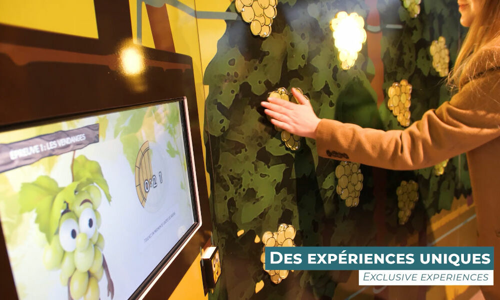 More than just a museum, an Alsace wine experience!