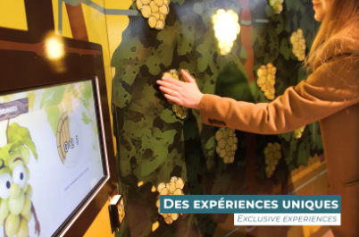 More than just a museum, an Alsace wine experience!