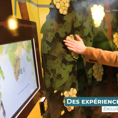 More than just a museum, an Alsace wine experience!