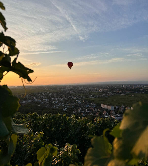2-Mongolfiere et vignoble