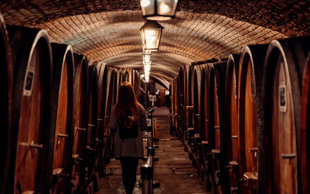 cave-des-hospices_elsacyril