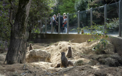 Organiser un événement d’affaires au Parc Zoologique et Botanique de Mulhouse