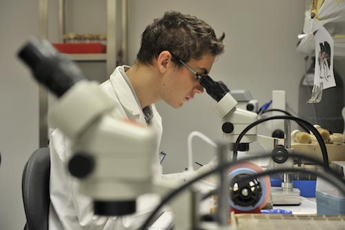 Strasbourg: experience in science conventions