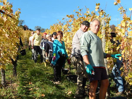 Destination l’Alsace pour une dégustation de vins exceptionnelle